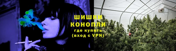 ECSTASY Костерёво