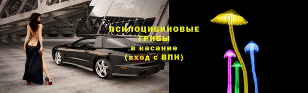 бошки Корсаков