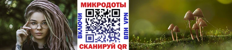 Галлюциногенные грибы Psilocybe  Волгодонск 