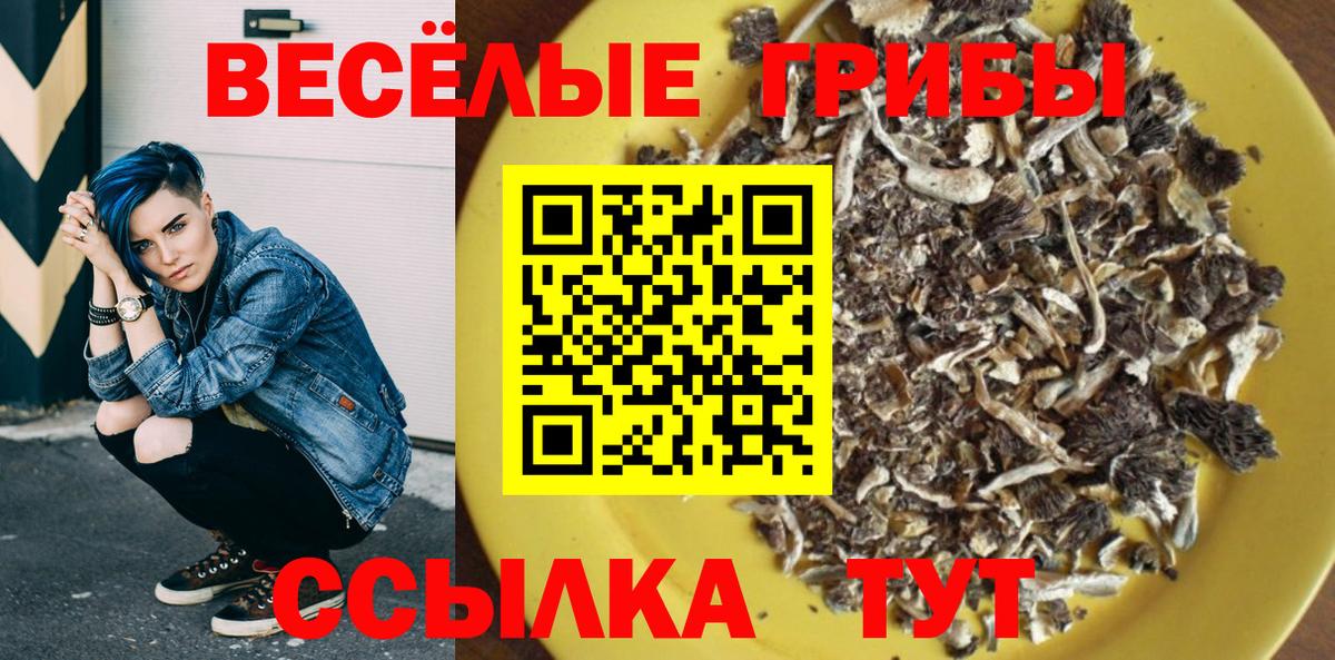 Галлюциногенные грибы мицелий Волгодонск