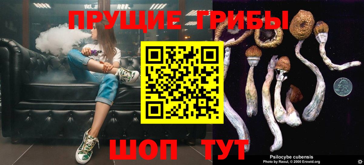 Галлюциногенные грибы GOLDEN TEACHER Волгодонск